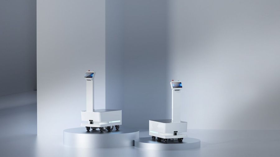 Big Dog Delivery Robot