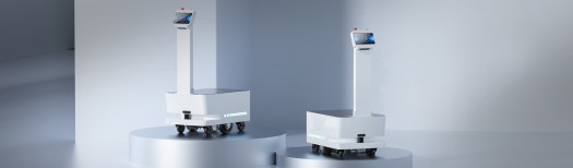 big dog delivery robot